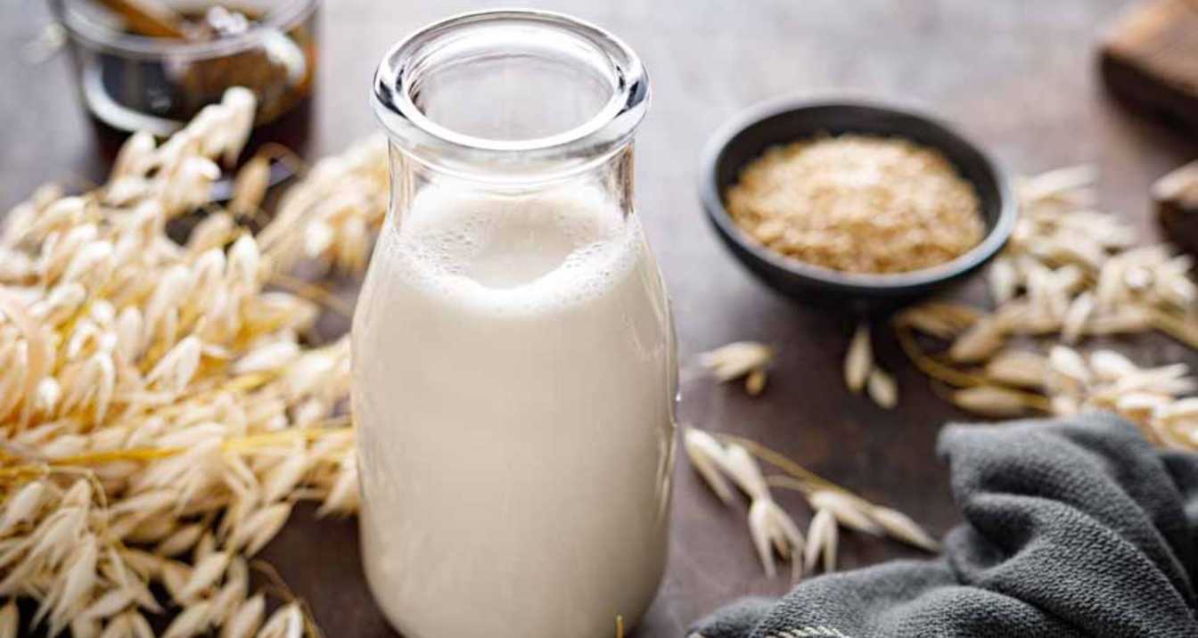 Alternatives to Oat Milk for Cats