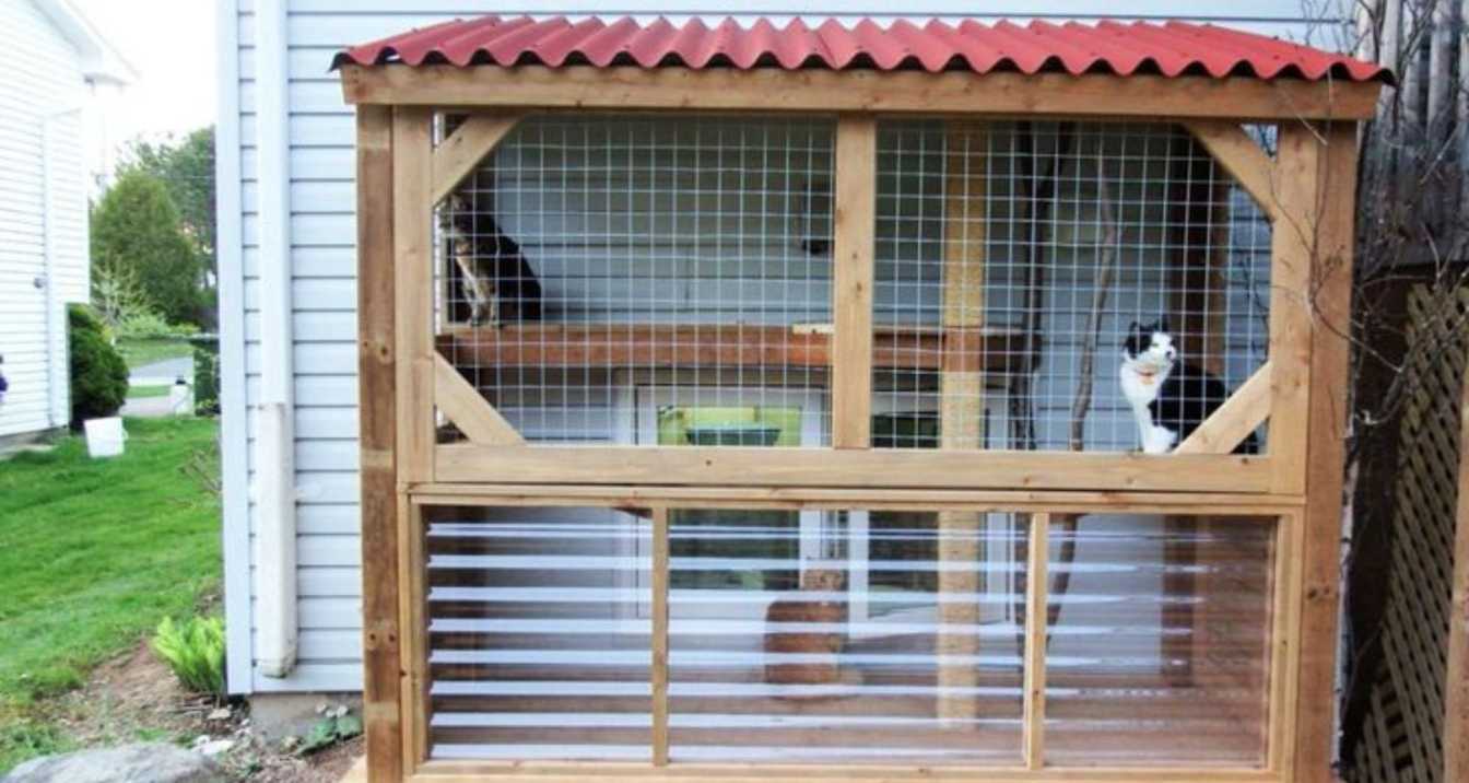 Creating Outdoor Cat Enclosures