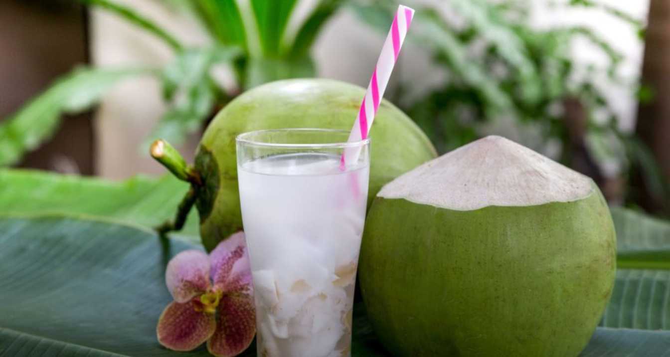 Health Benefits of Coconut Water for Humans