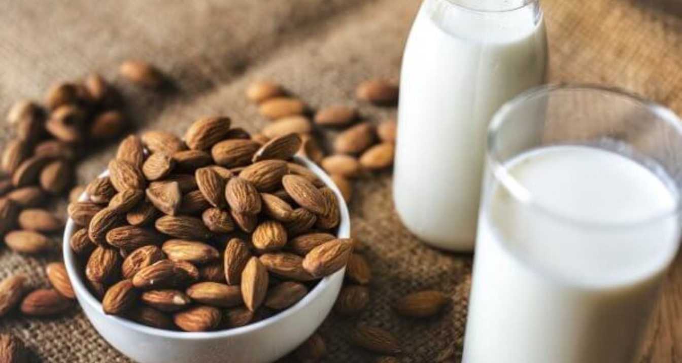 How Does Almond Milk Affect Cats