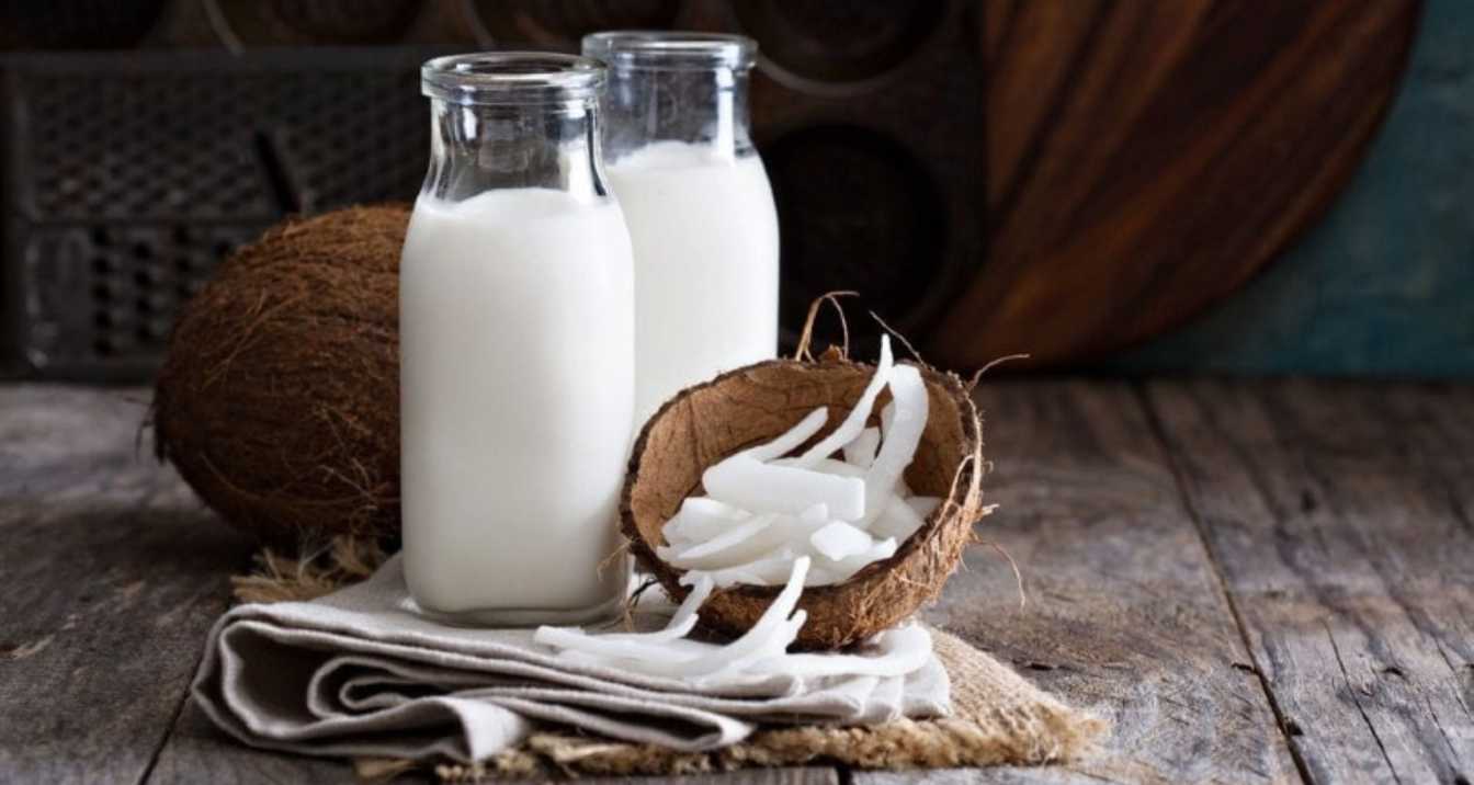 Is Coconut Milk Safe for Cats