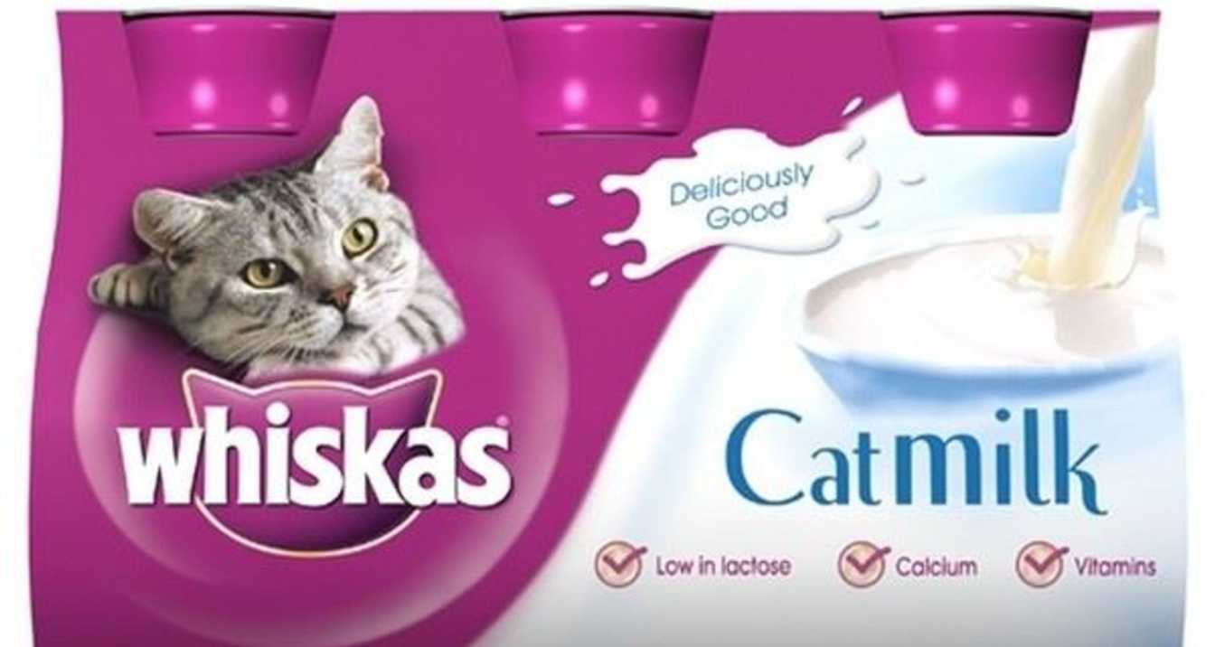 Specially Formulated Cat Milk