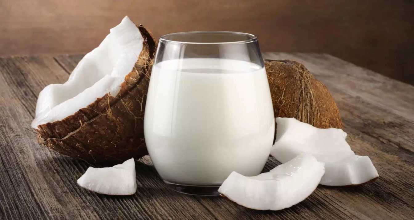 What is Coconut Milk