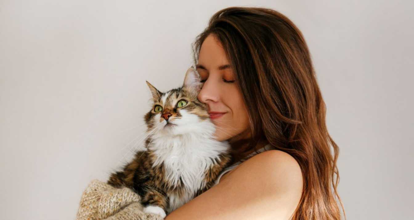 signs your cat is secretly mad at you